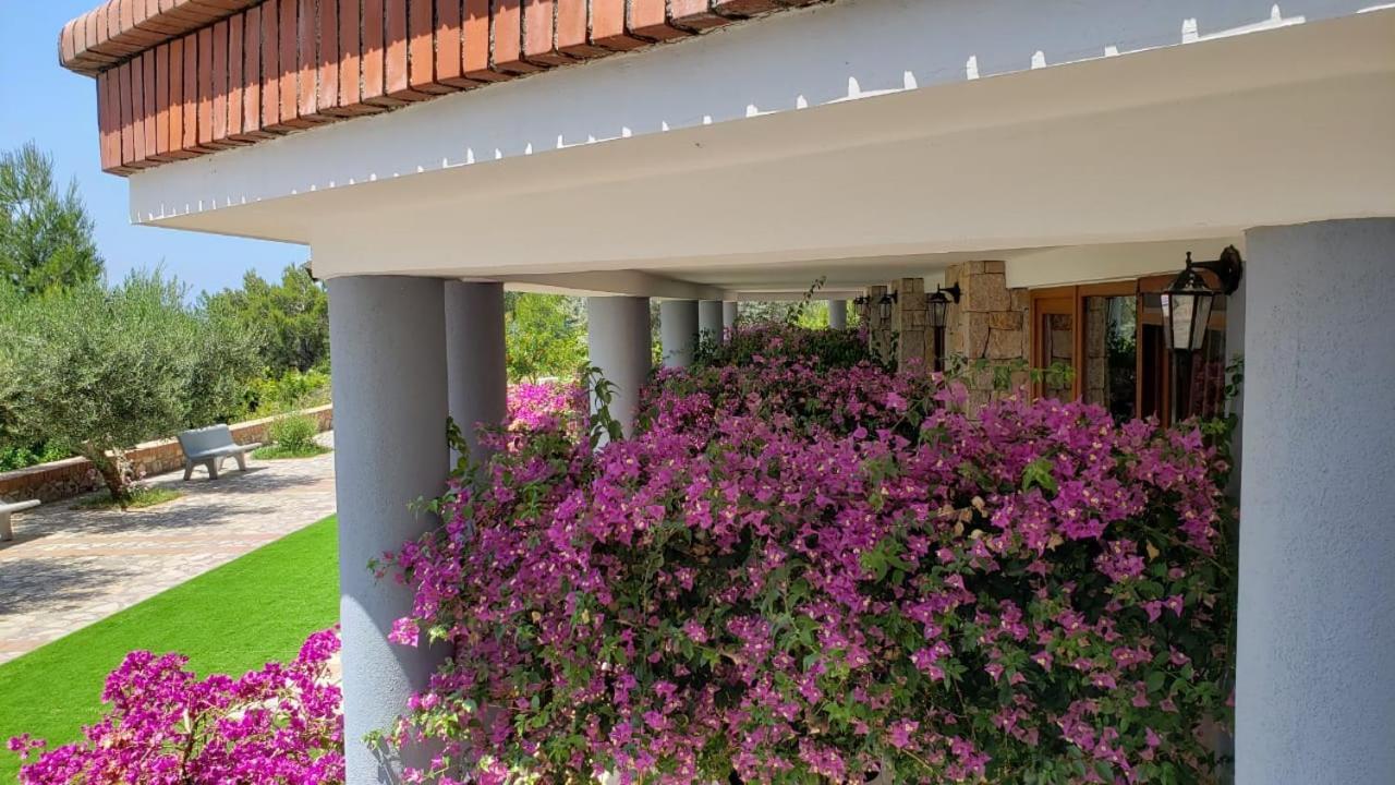 Hotel Brifs Shengjin Exterior photo